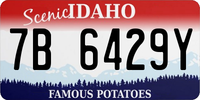 ID license plate 7B6429Y
