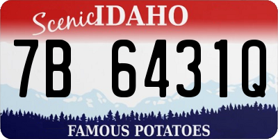 ID license plate 7B6431Q