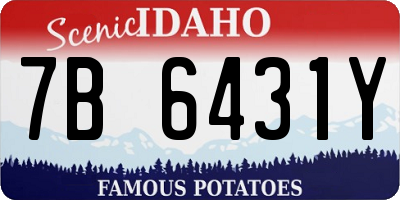 ID license plate 7B6431Y