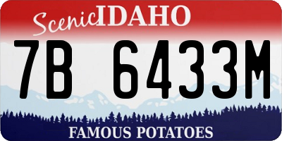 ID license plate 7B6433M