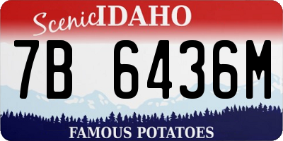 ID license plate 7B6436M