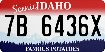 ID license plate 7B6436X