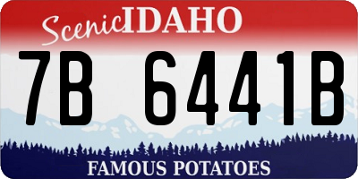 ID license plate 7B6441B