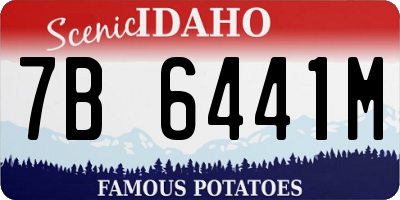 ID license plate 7B6441M