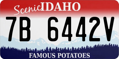 ID license plate 7B6442V