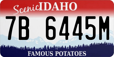 ID license plate 7B6445M