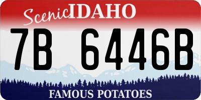 ID license plate 7B6446B