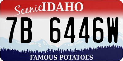ID license plate 7B6446W