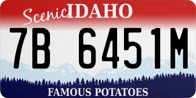 ID license plate 7B6451M