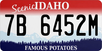 ID license plate 7B6452M
