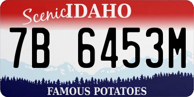 ID license plate 7B6453M