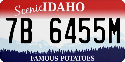 ID license plate 7B6455M