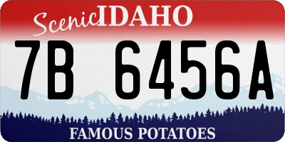 ID license plate 7B6456A