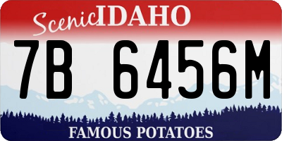ID license plate 7B6456M