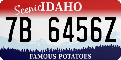 ID license plate 7B6456Z