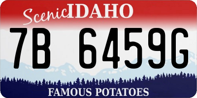 ID license plate 7B6459G