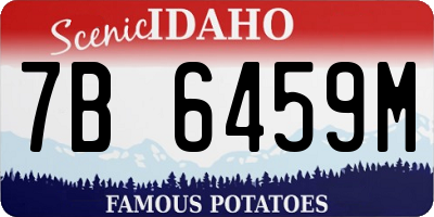 ID license plate 7B6459M