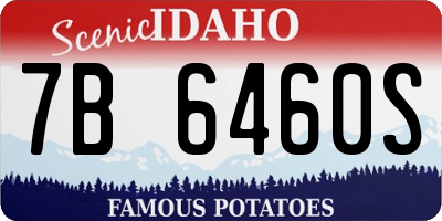 ID license plate 7B6460S