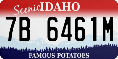 ID license plate 7B6461M