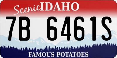 ID license plate 7B6461S