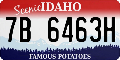 ID license plate 7B6463H