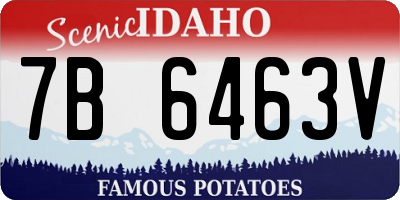ID license plate 7B6463V