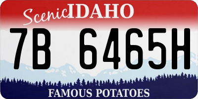 ID license plate 7B6465H