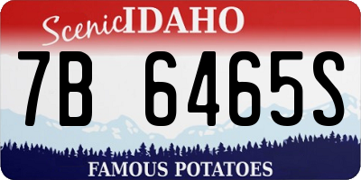 ID license plate 7B6465S