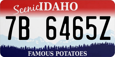 ID license plate 7B6465Z