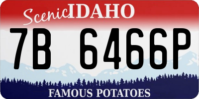 ID license plate 7B6466P