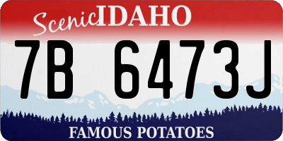 ID license plate 7B6473J