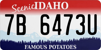 ID license plate 7B6473U