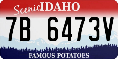 ID license plate 7B6473V