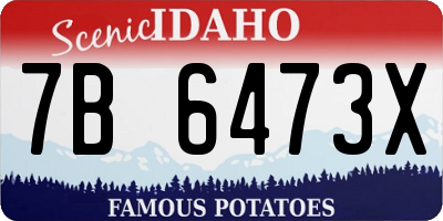 ID license plate 7B6473X