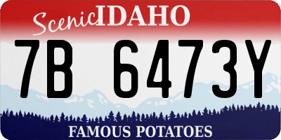 ID license plate 7B6473Y