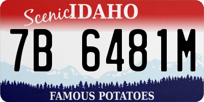 ID license plate 7B6481M