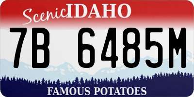 ID license plate 7B6485M