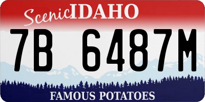 ID license plate 7B6487M
