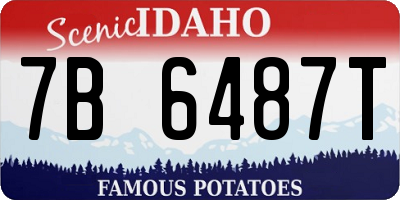 ID license plate 7B6487T
