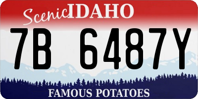 ID license plate 7B6487Y