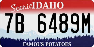 ID license plate 7B6489M