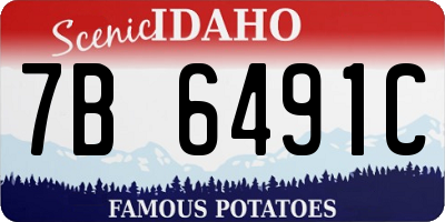 ID license plate 7B6491C