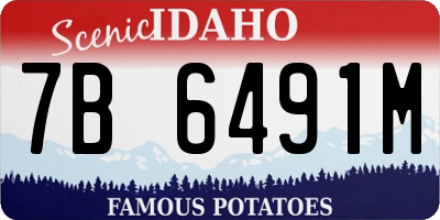 ID license plate 7B6491M
