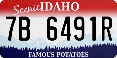 ID license plate 7B6491R