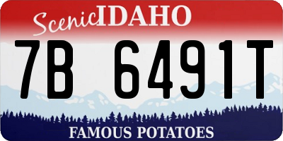 ID license plate 7B6491T