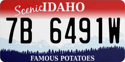 ID license plate 7B6491W