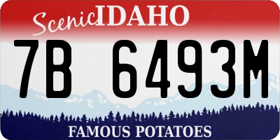 ID license plate 7B6493M