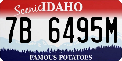 ID license plate 7B6495M