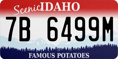 ID license plate 7B6499M