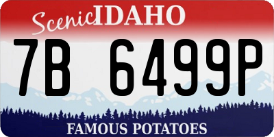 ID license plate 7B6499P